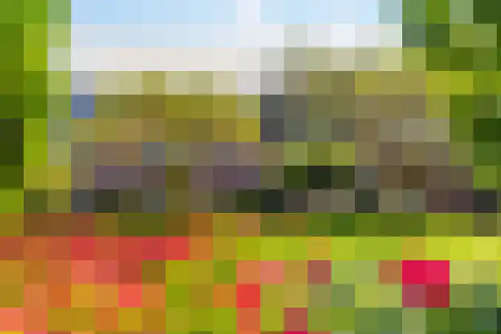 Griend 37 Elst thumbnail 33