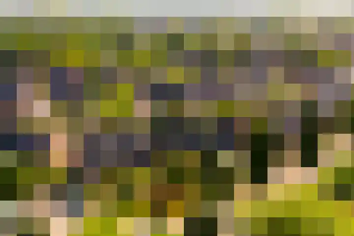 Griend 37 Elst thumbnail 35