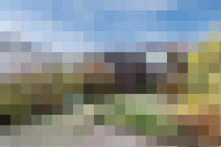 Griend 38 5 Lelystad thumbnail 35