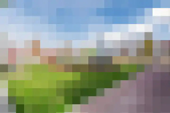 Griend 38 5 Lelystad thumbnail 38