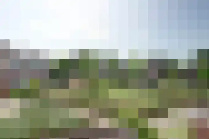 Griend 39 Leerdam thumbnail 34