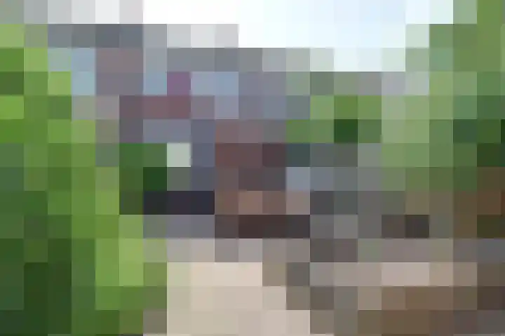 Griend 39 Leerdam thumbnail 38