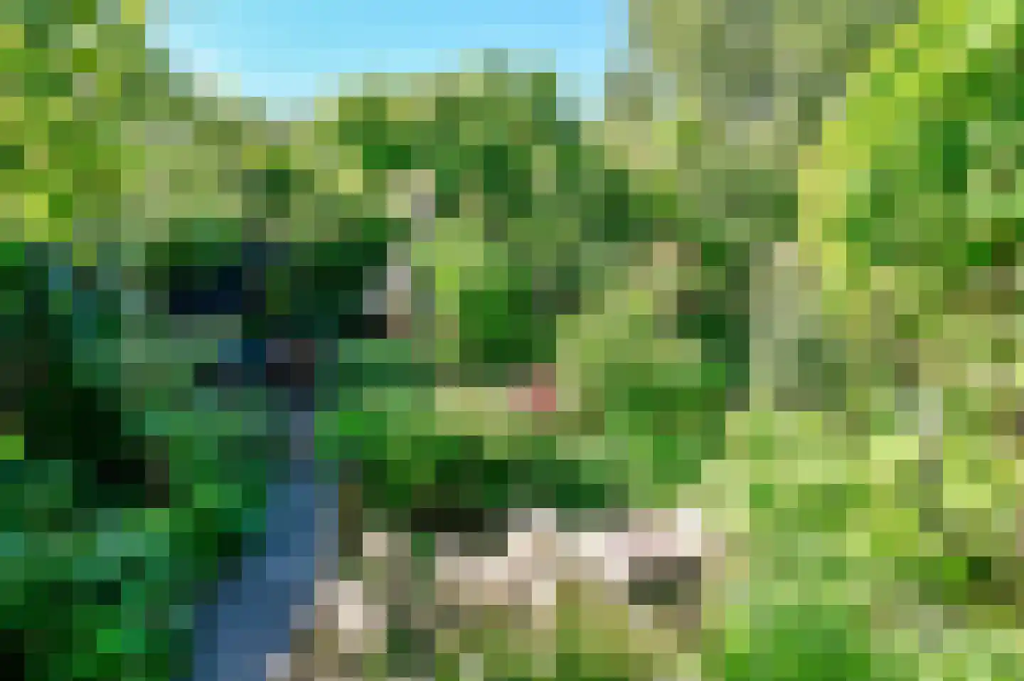 Griend 40 2 Lelystad thumbnail 33