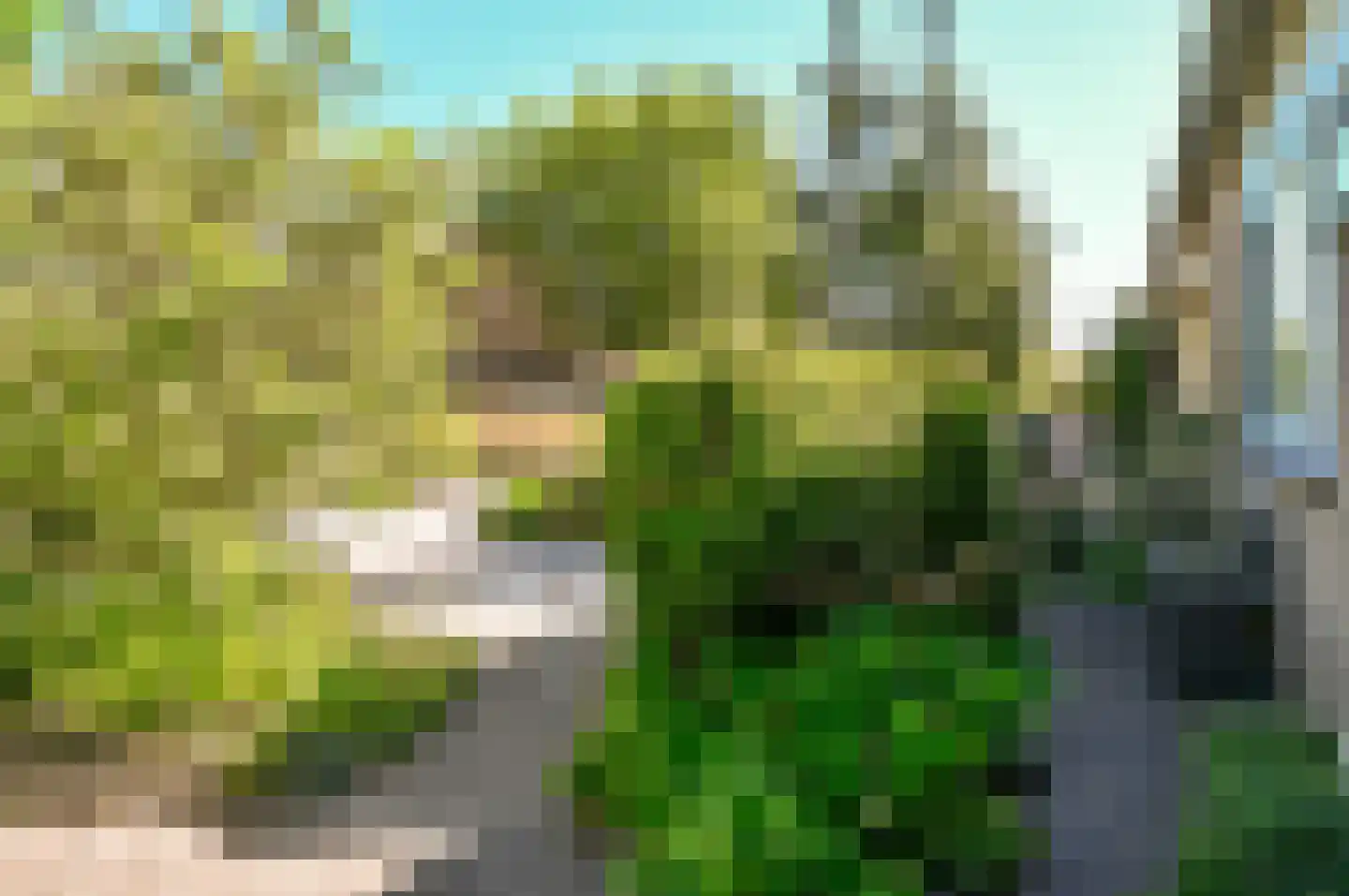 Griend 40 2 Lelystad thumbnail 38