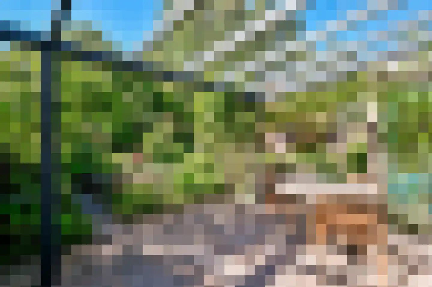 Griend 40 2 Lelystad thumbnail 4