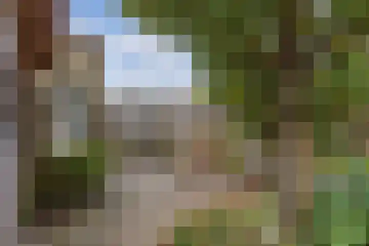 Griend 41 24 Lelystad thumbnail 40