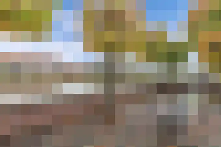 Griend 41 24 Lelystad thumbnail 42