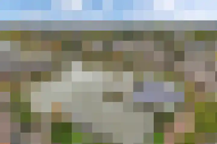 Griend 41 24 Lelystad thumbnail 5