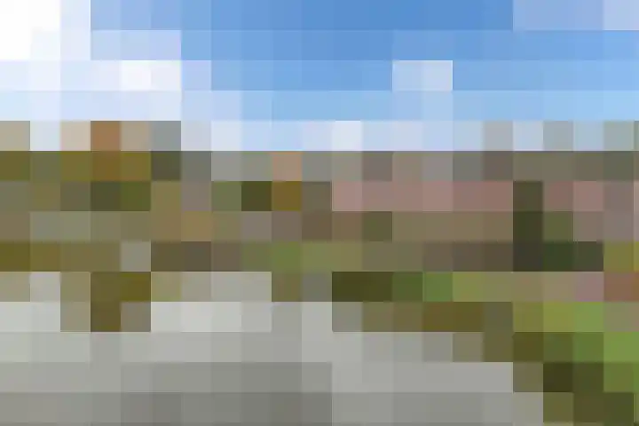 Griend 41 24 Lelystad thumbnail 6