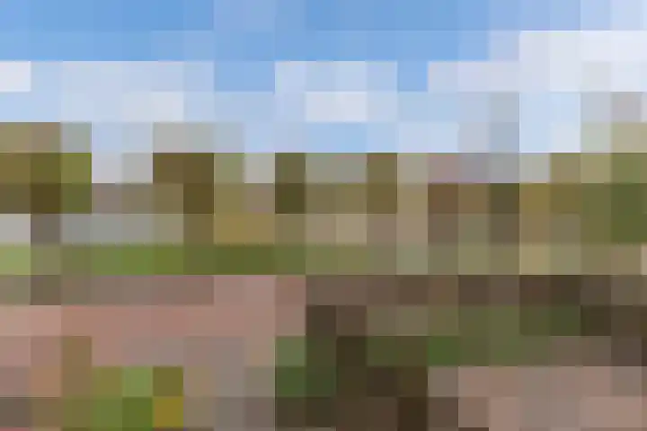 Griend 41 24 Lelystad thumbnail 9