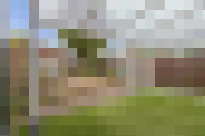 Griend 41 41 24 Lelystad thumbnail 37