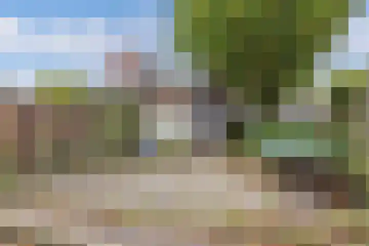 Griend 41 41 24 Lelystad thumbnail 38