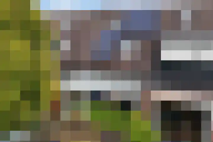 Griend 41 41 24 Lelystad thumbnail 41