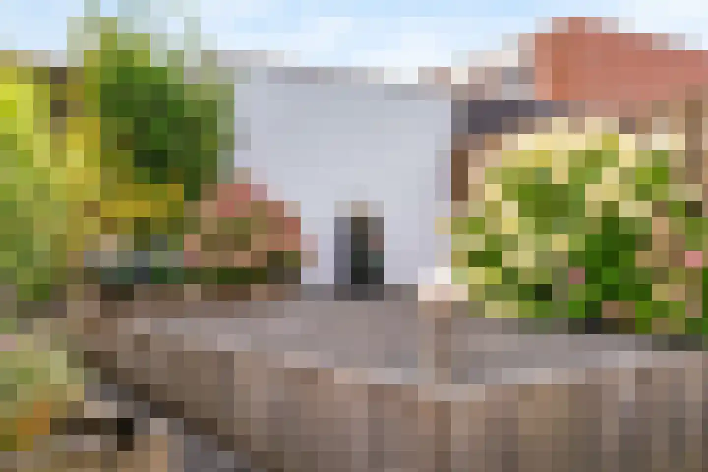 Griend 41 6 Lelystad thumbnail 17