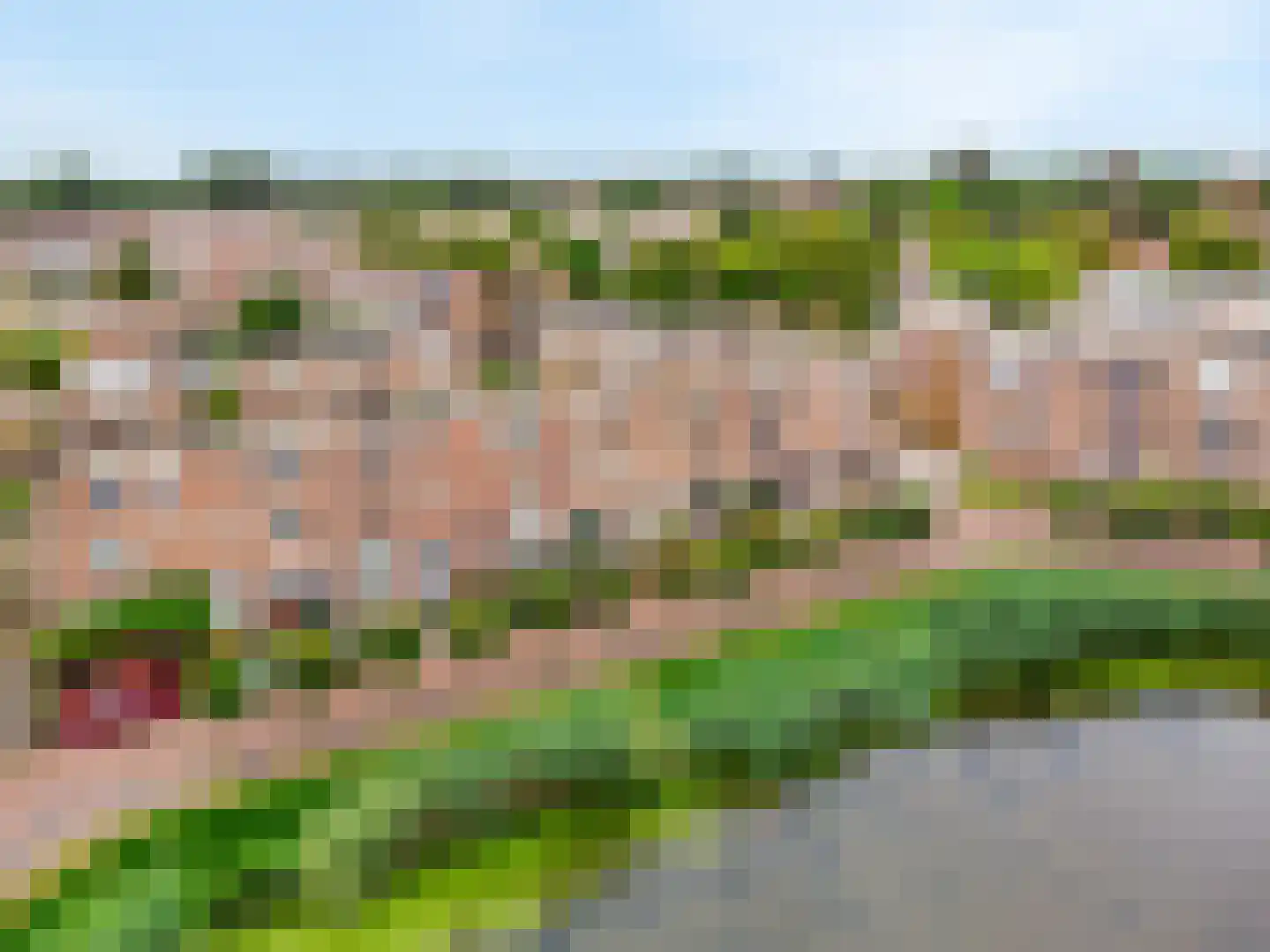 Griend 41 6 Lelystad thumbnail 36