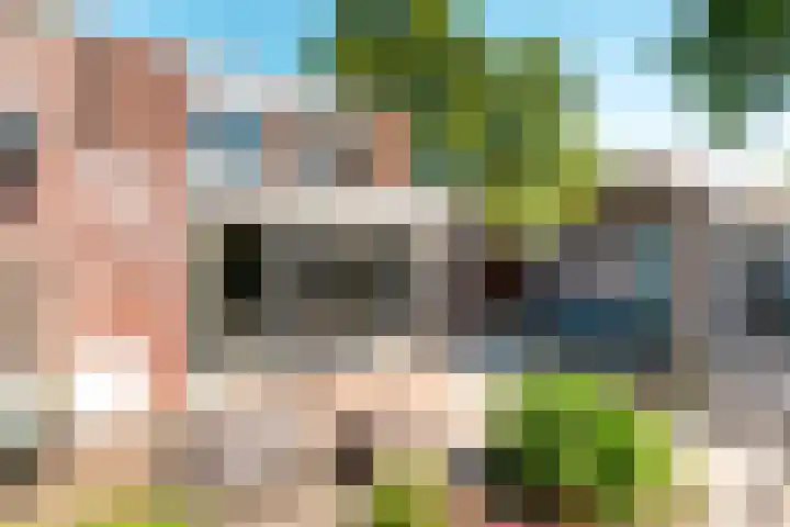 Griend 41 64 Lelystad thumbnail 29