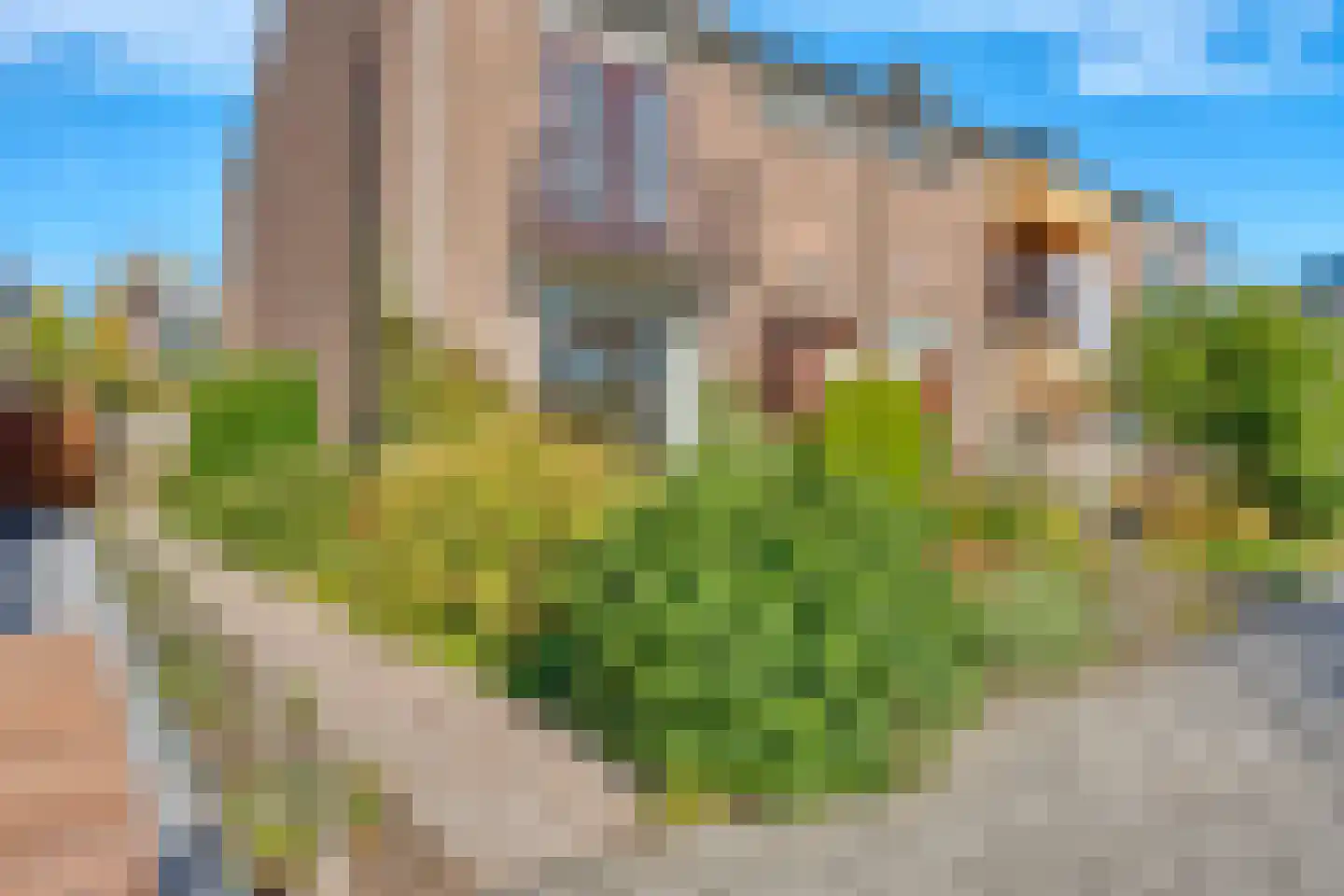 Griend 41 Zwijndrecht thumbnail 7
