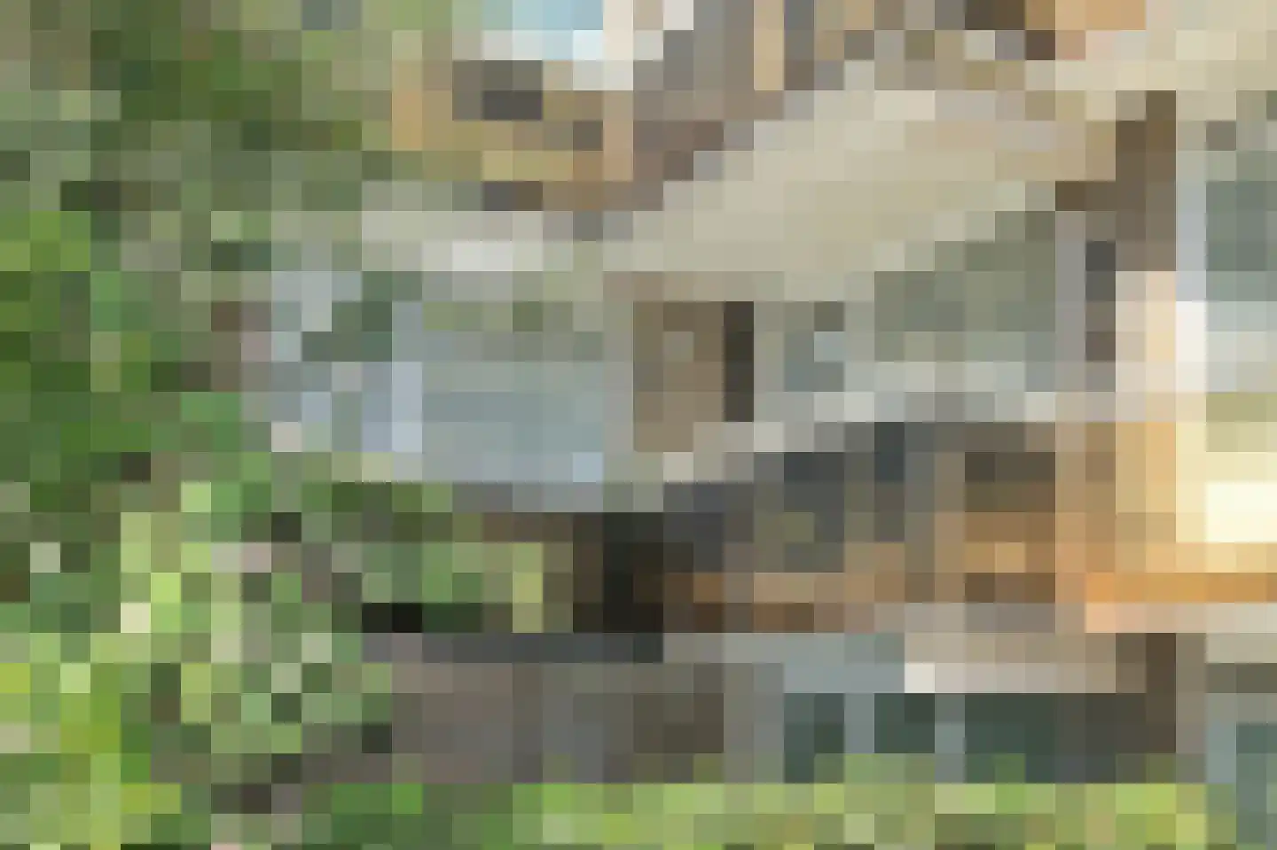 Griend 43 Diemen thumbnail 8