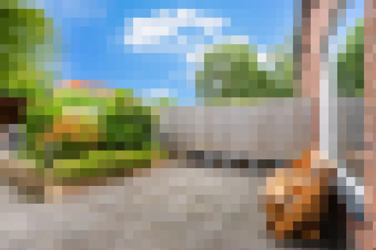 Griend 5 Zwijndrecht thumbnail 16