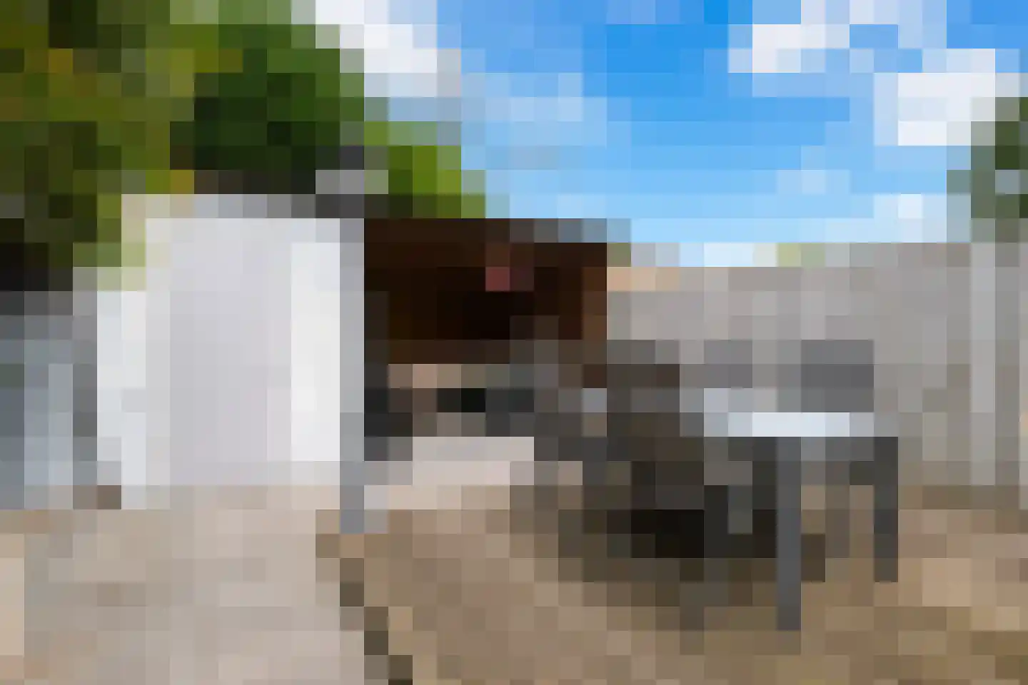 Griend 5 Zwijndrecht thumbnail 19