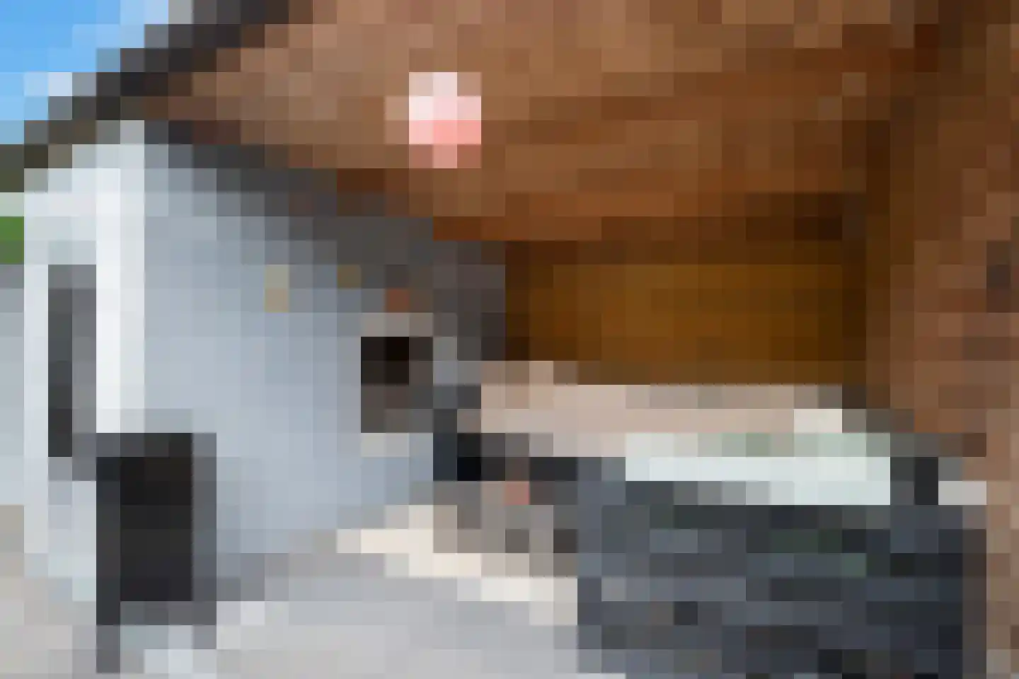 Griend 5 Zwijndrecht thumbnail 20