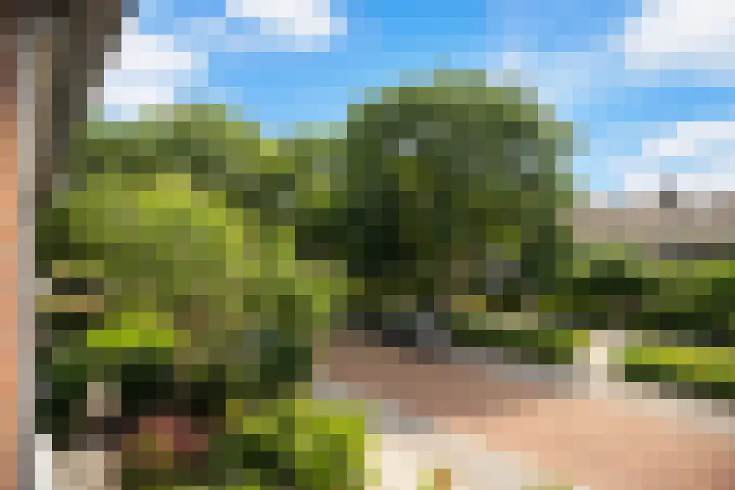 Griend 5 Zwijndrecht thumbnail 40