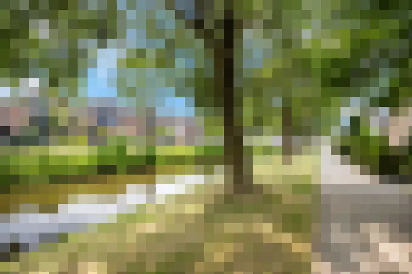 Griend 5 Zwijndrecht thumbnail 41