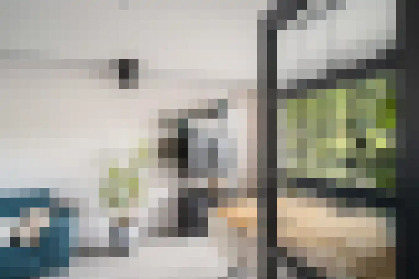 Griend 5 Zwijndrecht thumbnail 5