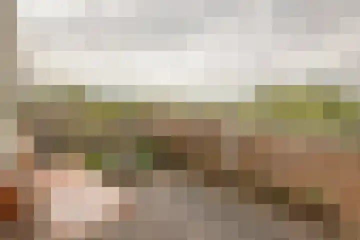 Griend 95 Diemen thumbnail 15