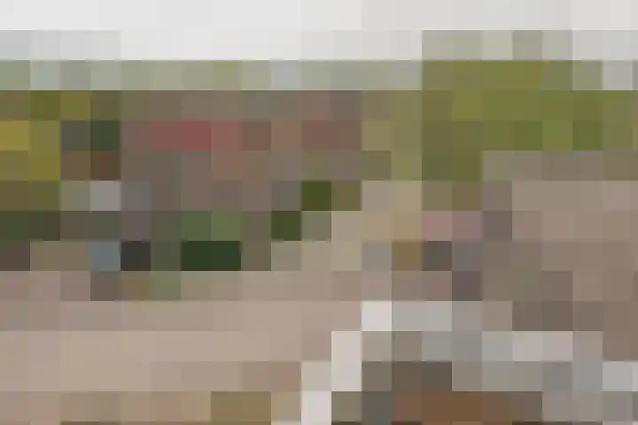 Griend 95 Diemen thumbnail 16