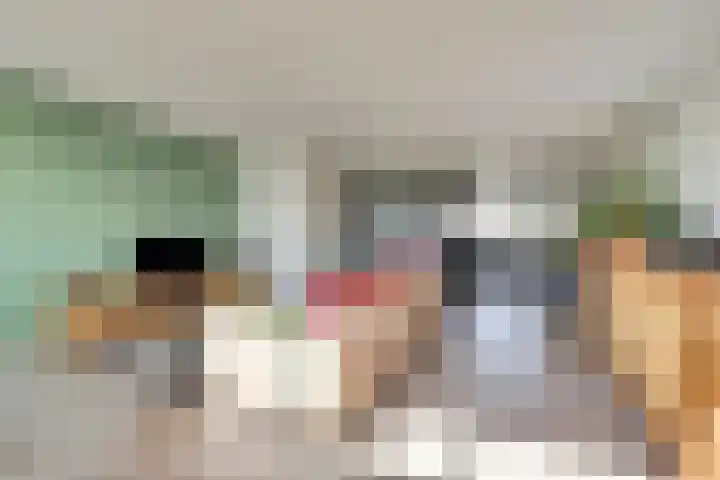 Griendakker 44 Gouda thumbnail 10