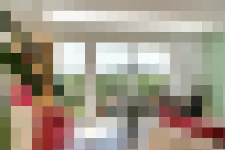 Griendakker 44 Gouda thumbnail 12