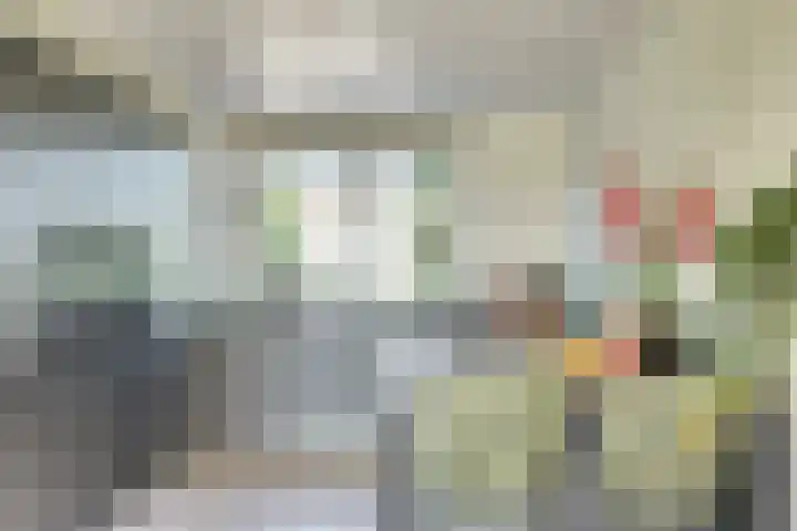 Griendakker 44 Gouda thumbnail 13