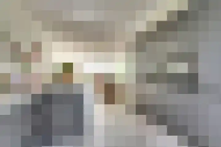 Griendakker 44 Gouda thumbnail 15