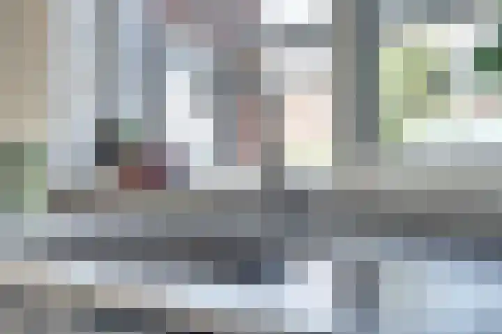 Griendakker 44 Gouda thumbnail 16