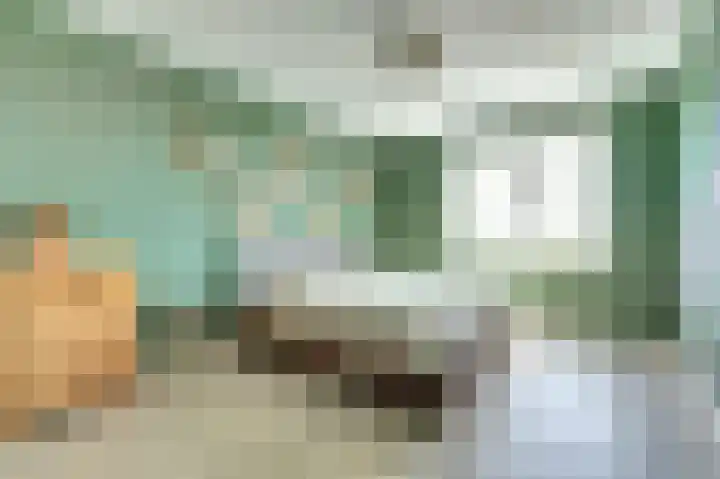 Griendakker 44 Gouda thumbnail 18