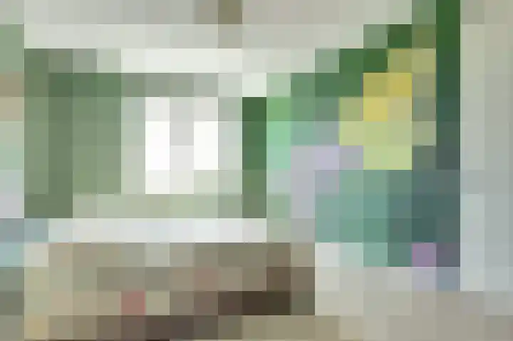 Griendakker 44 Gouda thumbnail 19