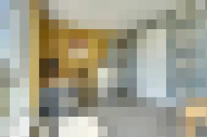Griendakker 44 Gouda thumbnail 27