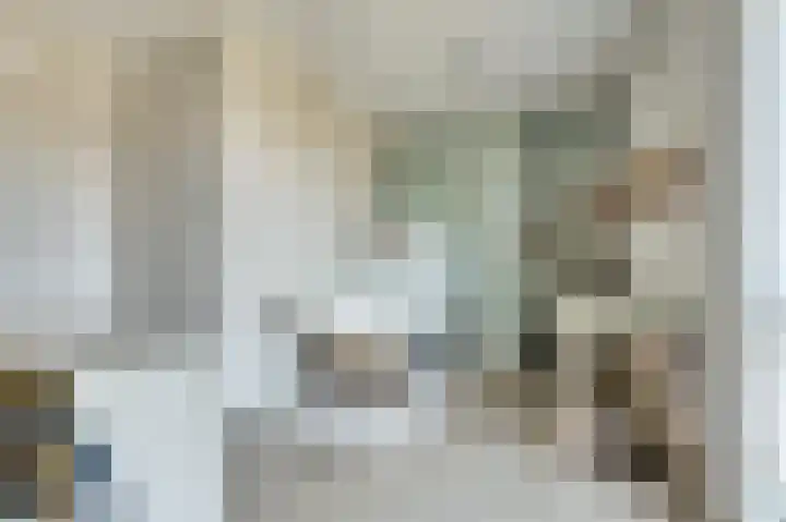 Griendakker 44 Gouda thumbnail 30