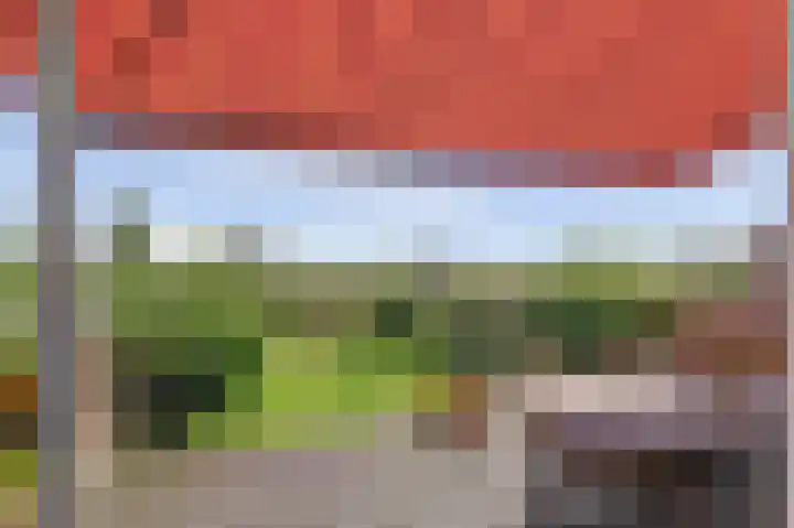 Griendakker 44 Gouda thumbnail 32