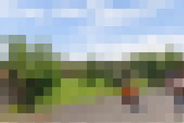 Griendakker 44 Gouda thumbnail 33