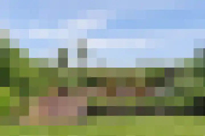 Griendakker 44 Gouda thumbnail 34