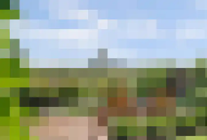 Griendakker 44 Gouda thumbnail 35