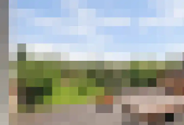 Griendakker 44 Gouda thumbnail 36