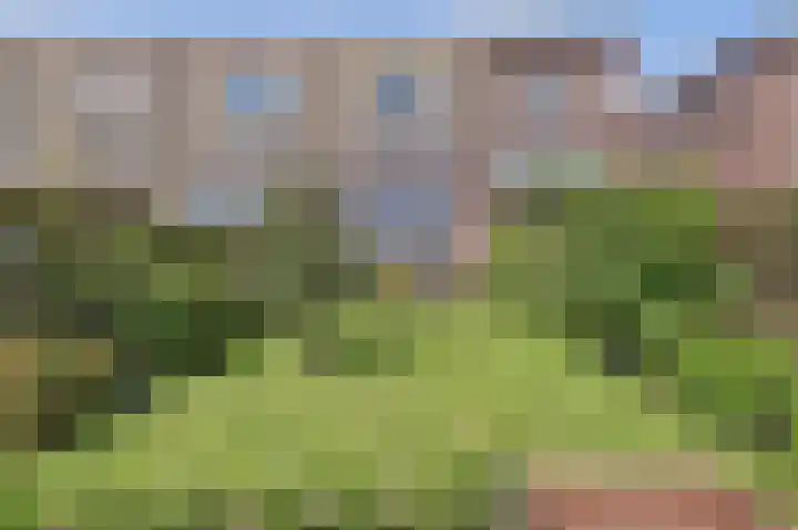 Griendakker 44 Gouda thumbnail 37