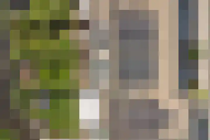 Griendakker 44 Gouda thumbnail 39