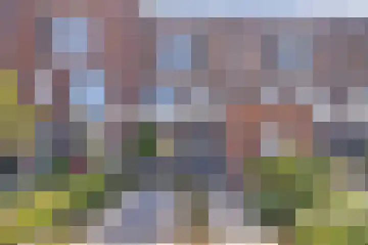 Griendakker 44 Gouda thumbnail 4