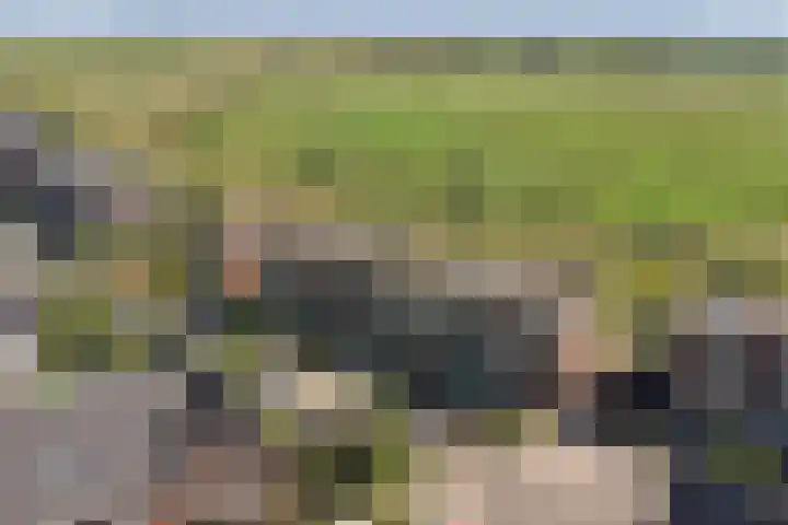 Griendakker 44 Gouda thumbnail 40