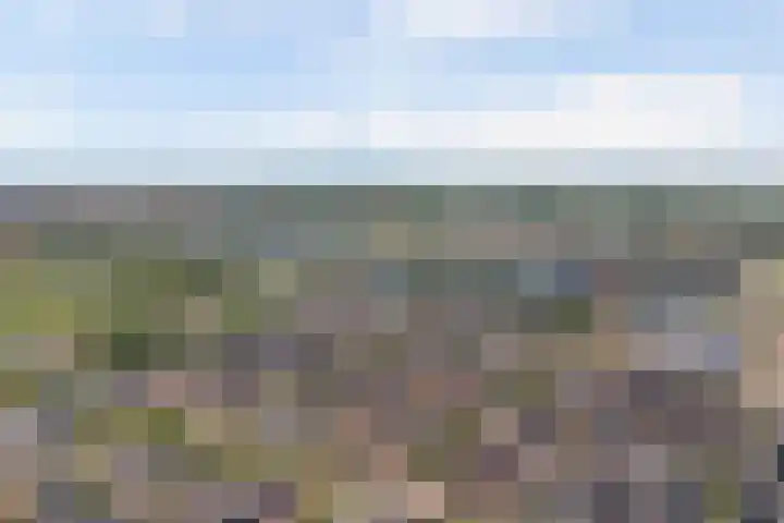 Griendakker 44 Gouda thumbnail 41