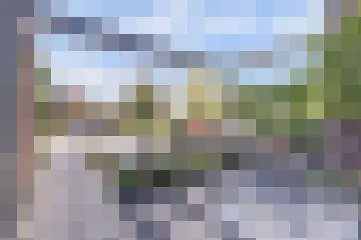 Griendakker 44 Gouda thumbnail 5